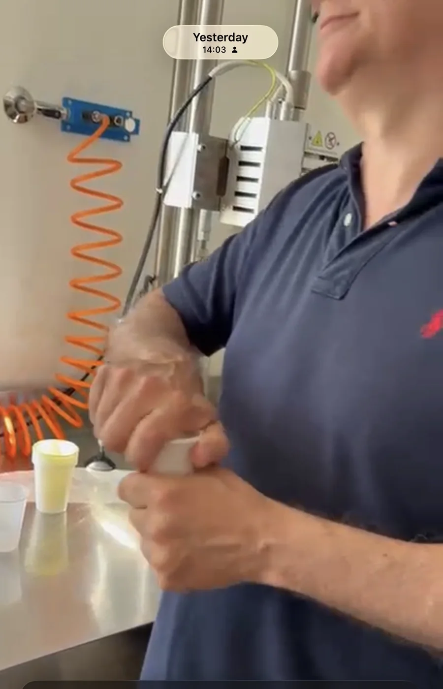 How to Taste Olive Oil Like a Professional
